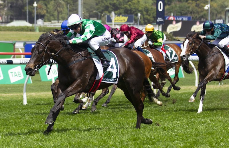 G3 Gimcrack Stakes Preview & Analysis Image