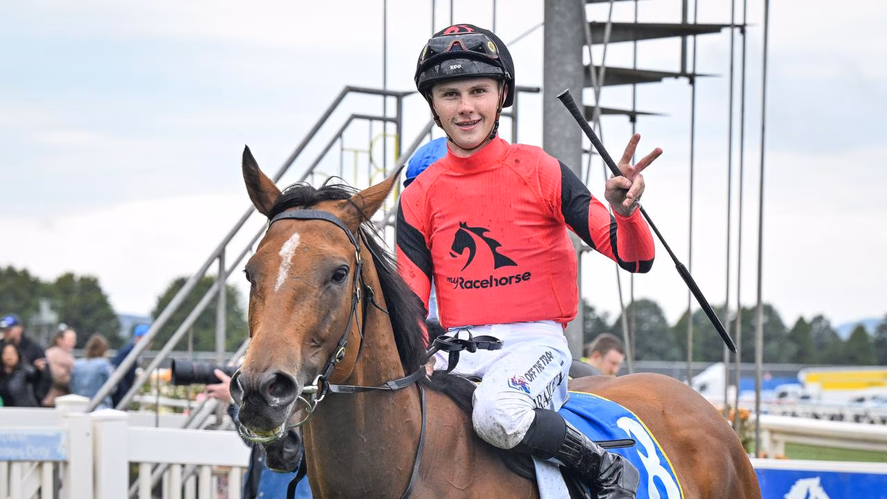 RACING: TORTURE IN DIAMONDS PURSUIT Image