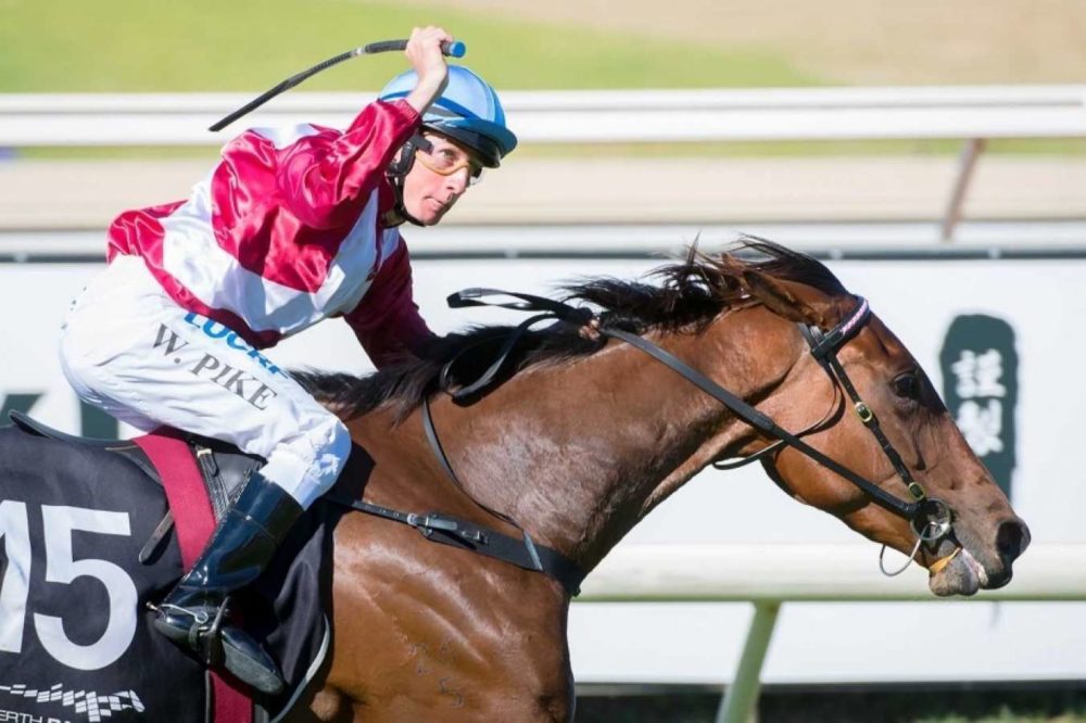 Kingston Town Classic Preview: Speed Map, Analysis & Selections Image