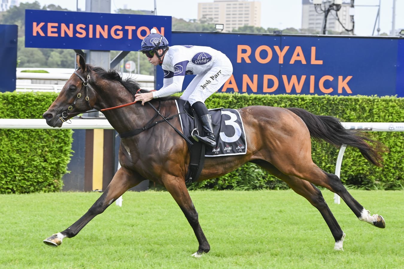 RACING: Randwick Kensington Tips - Wednesday 14th January Image