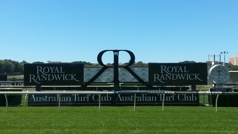 Future Winners: Runners You Must Follow From Spring Champion Day Image