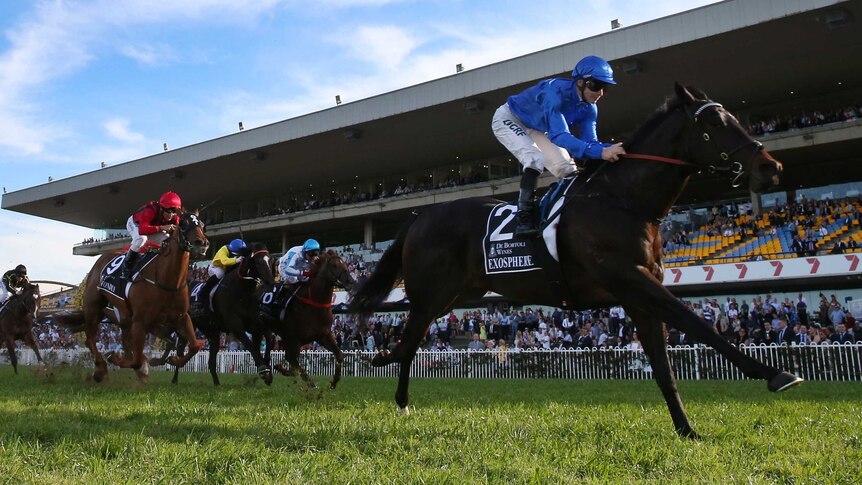 Get Our Randwick Late Mail & Tips Here Image