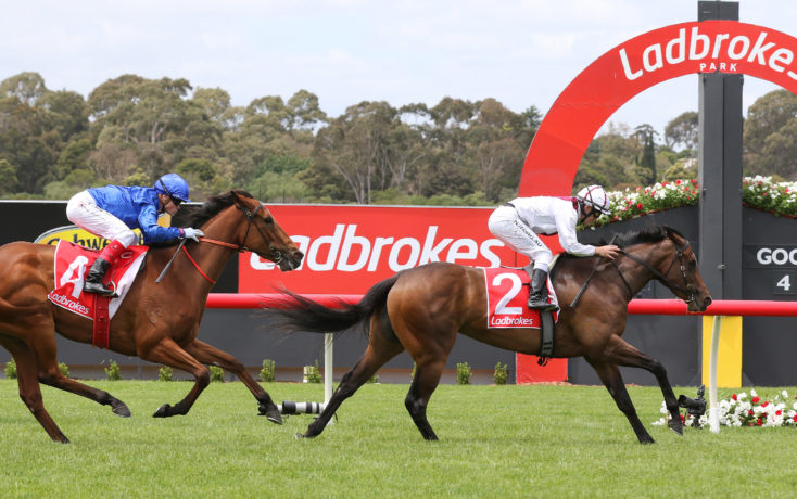 Sandown Tip Sheet & Staking Plan: Wednesday 23rd June Image