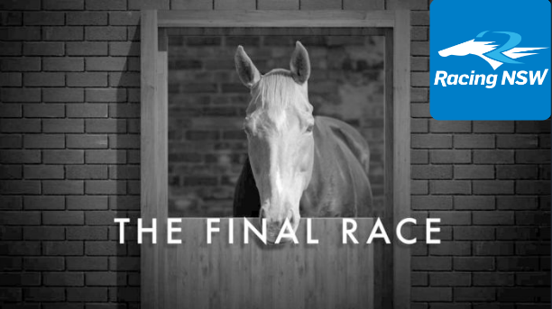 RacingNSW Lodges Complaint Claiming There Were 'Serious Breaches' In the ABC Report Image