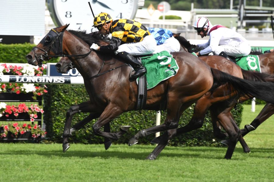 Surround Stakes: What The Jockeys Said Image