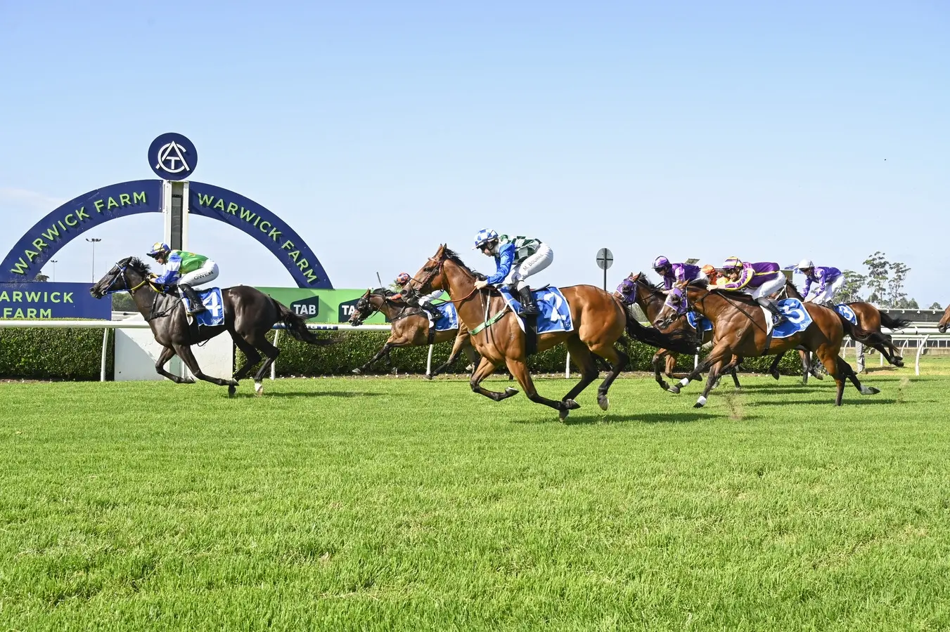 RACING: Warwick Farm Tips - Wednesday 7th January Image