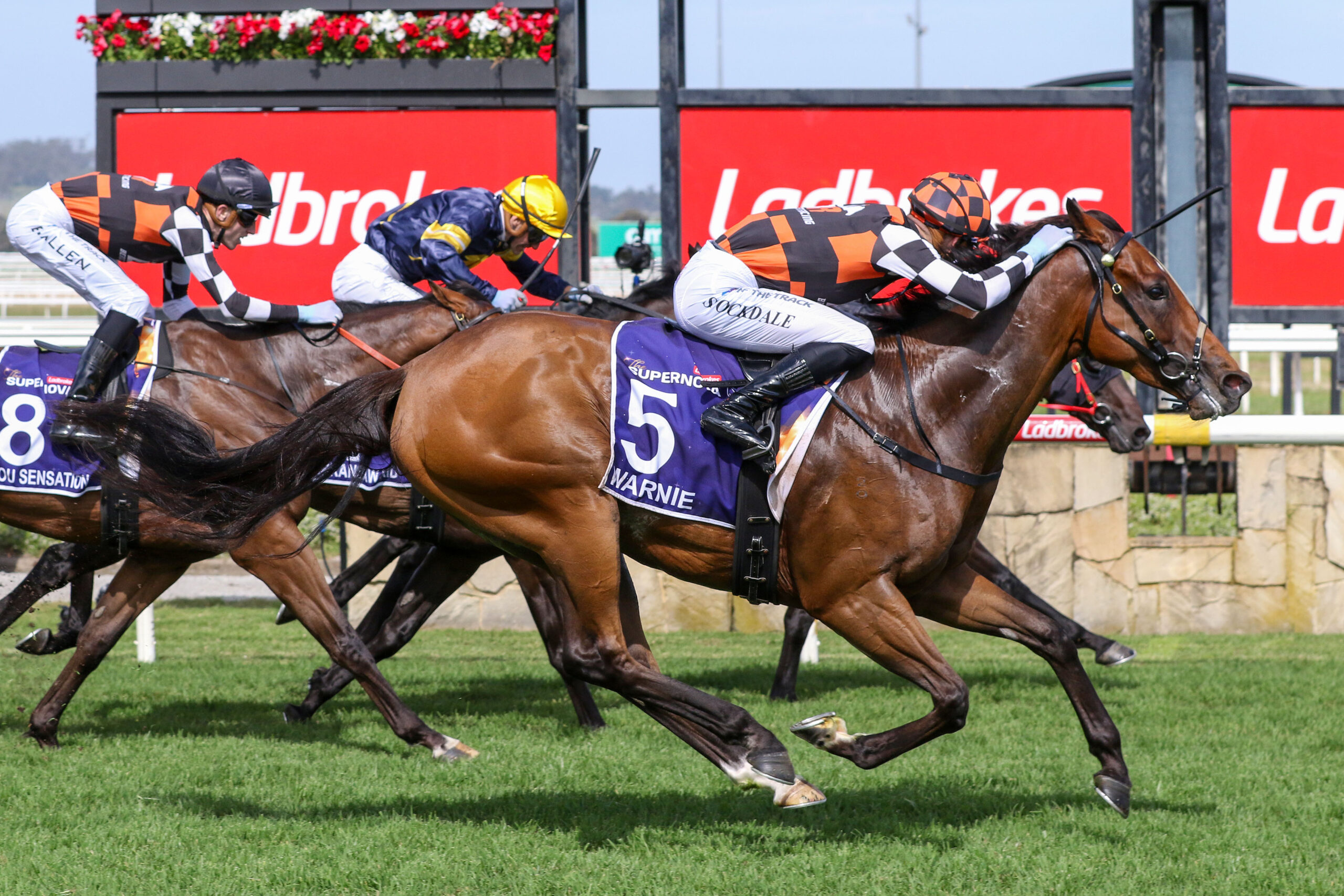 WARNIE’S LAST STRIDE SUPERNOVA WIN Image