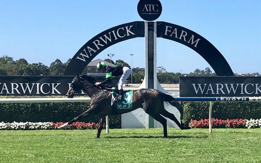 Warwick Farm Tip Sheet & Staking Plan - Wednesday 12th February Image