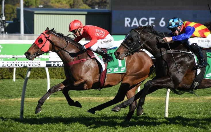 The Everest Preview & Analysis Image