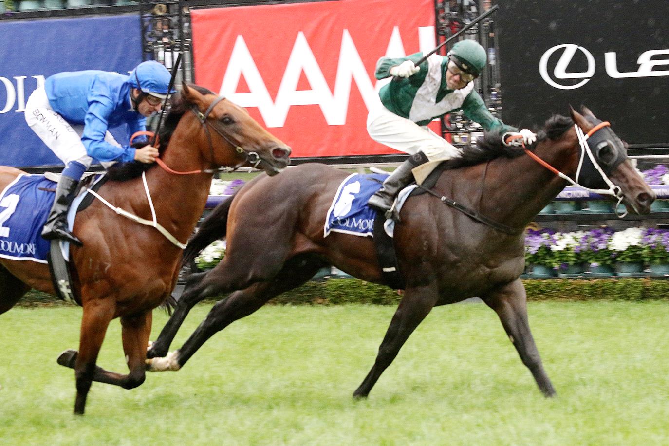 Group 1 Newmarket Handicap: Speedmap, Analysis & Staking Image
