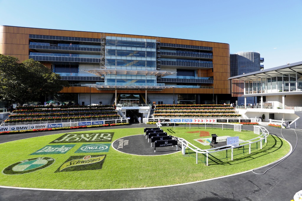 Randwick Tip Sheet & Staking Plan - Saturday 11th January Image