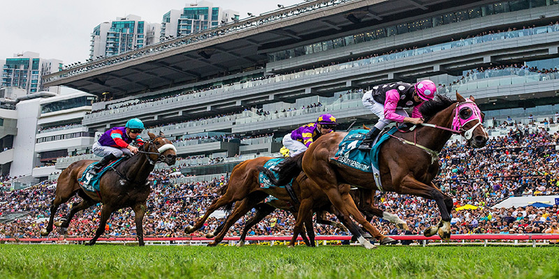 Hong Kong Racing: Sha Tin Tip Sheet & Staking Plan Image