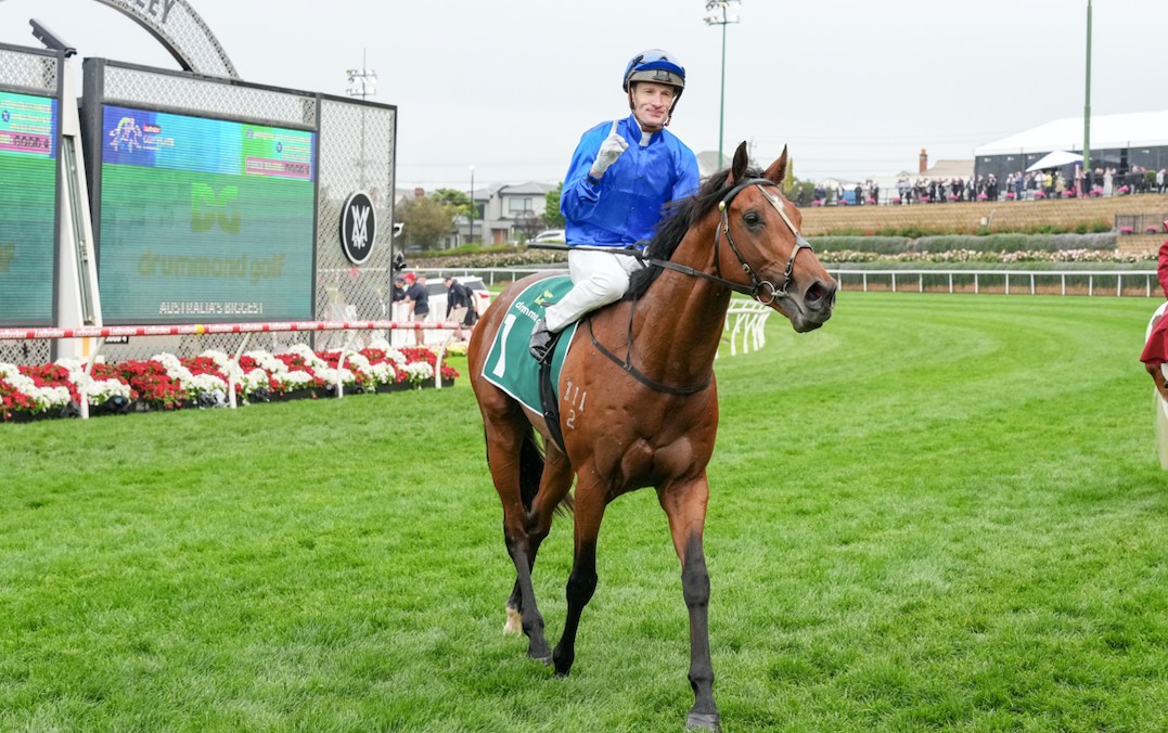 MAHER OBSERVES HIS COLT IS A STAR Image