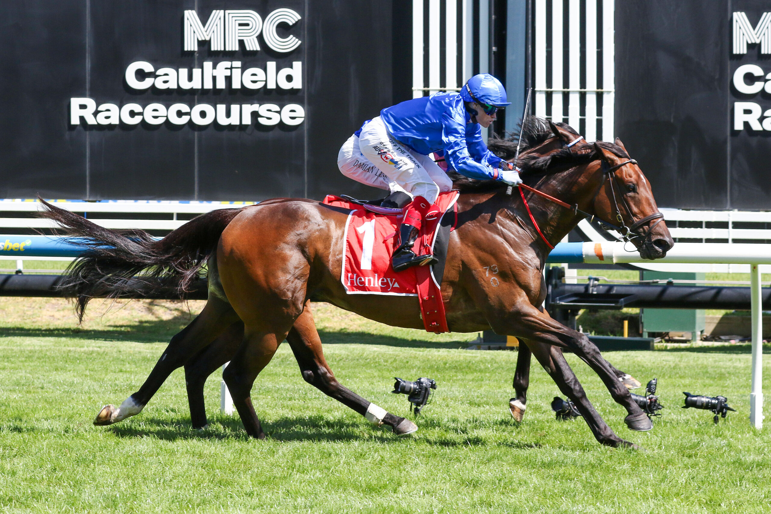 TOM KITTEN PURRS ON RETURN Image