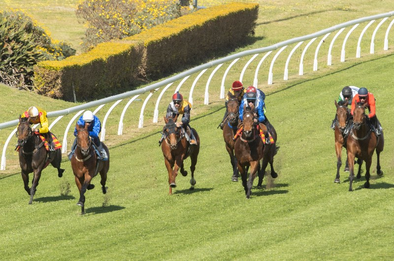 Trial Review: Horses That Caught The Eye At The Trials This Week 5/3 Image